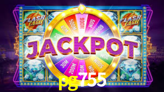 Premium Interface pg755