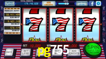 Flash Promotion pg755